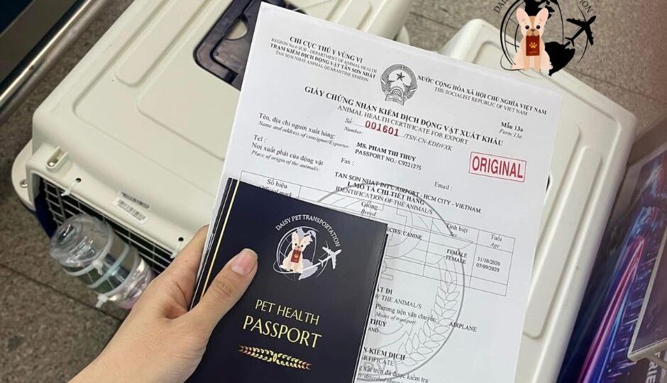 petpassport-1-940x540.jpg